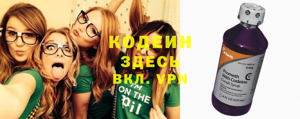 мдпв Дмитриев
