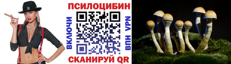 shop какой сайт  Исилькуль  Псилоцибиновые грибы мухоморы 